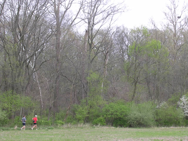 Pacer and runner working the flats