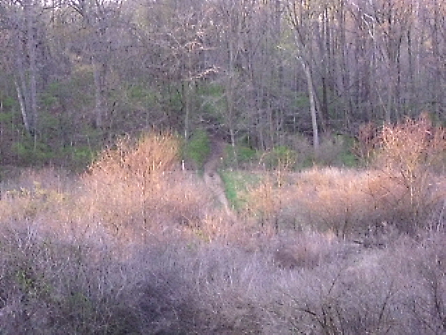 ON TRAIL