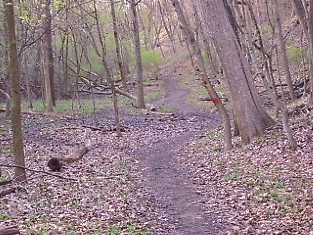 ON THE TRAIL