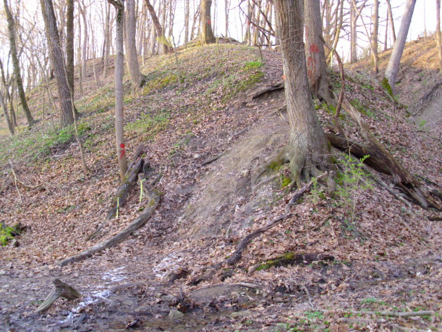 ON THE TRAIL