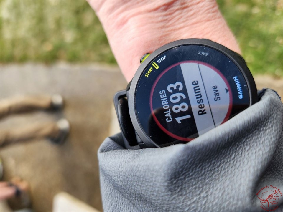 Paleozoic Trail Runs : Pioneer Woods Action...
